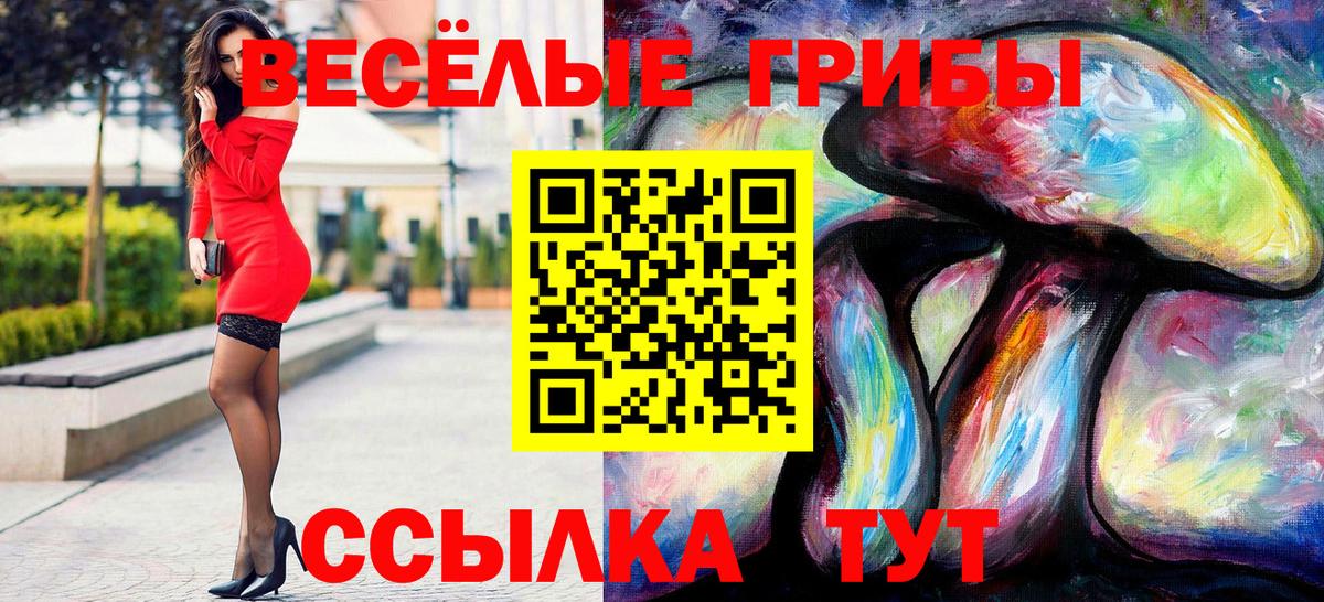 Мирный  Псилоцибиновые грибы Cubensis  Вход с VPN  Псилоцибиновые грибы прущие грибы 